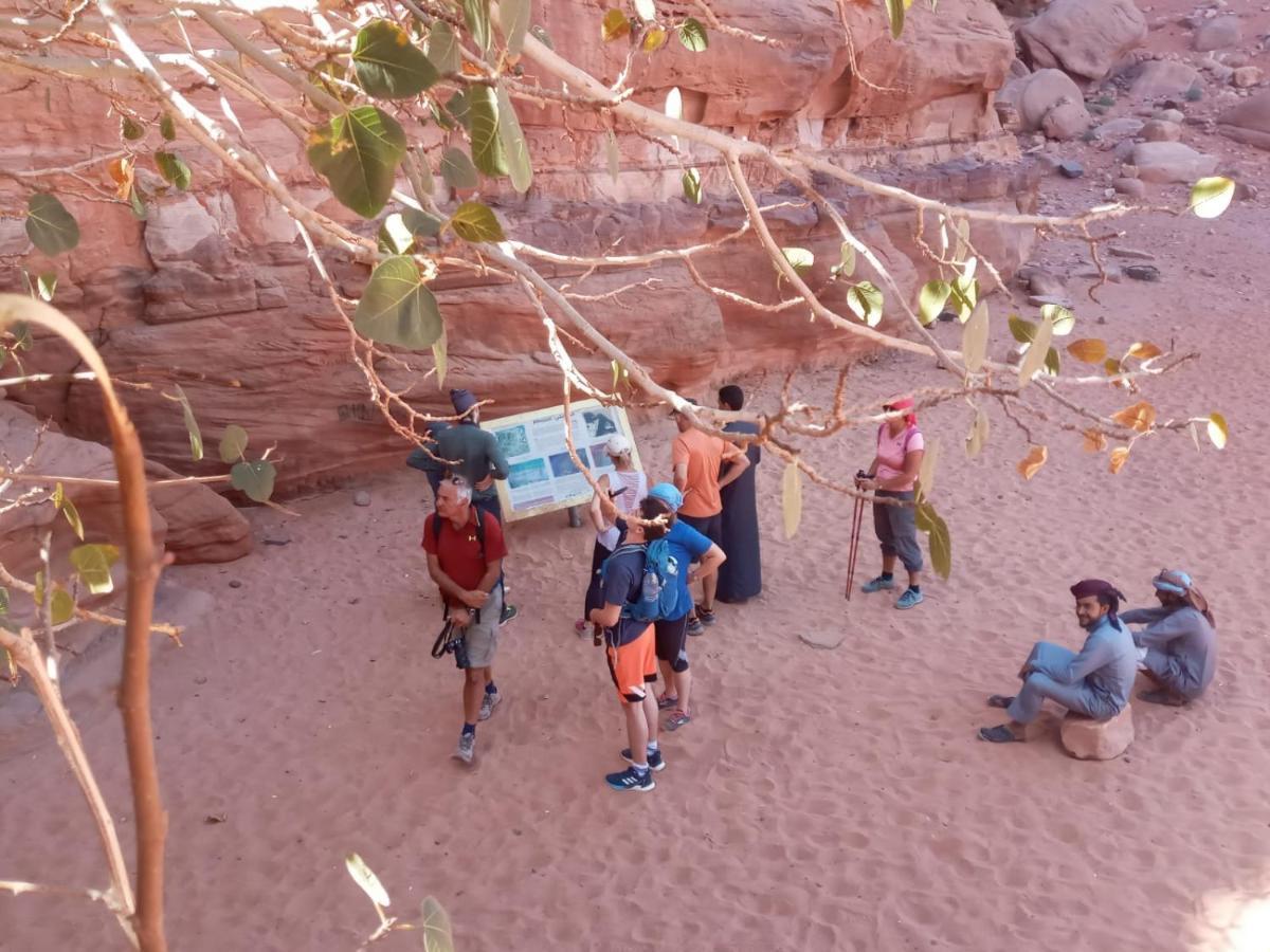 Bedouin Future Camp Hotell Wadi Rum Exteriör bild