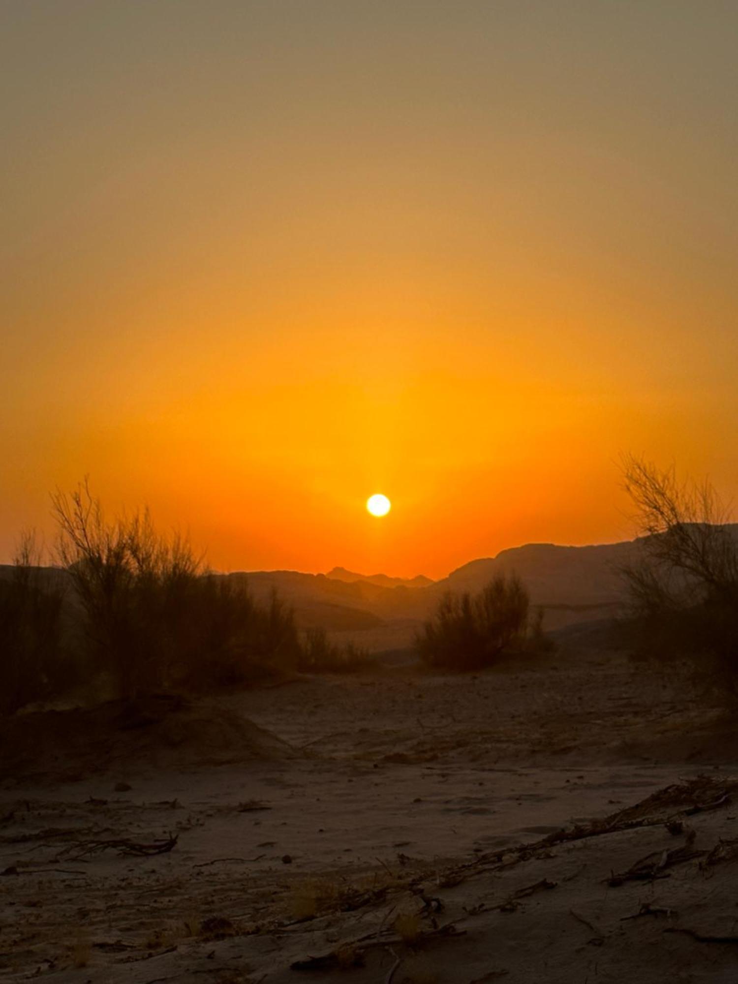 Bedouin Future Camp Hotell Wadi Rum Exteriör bild