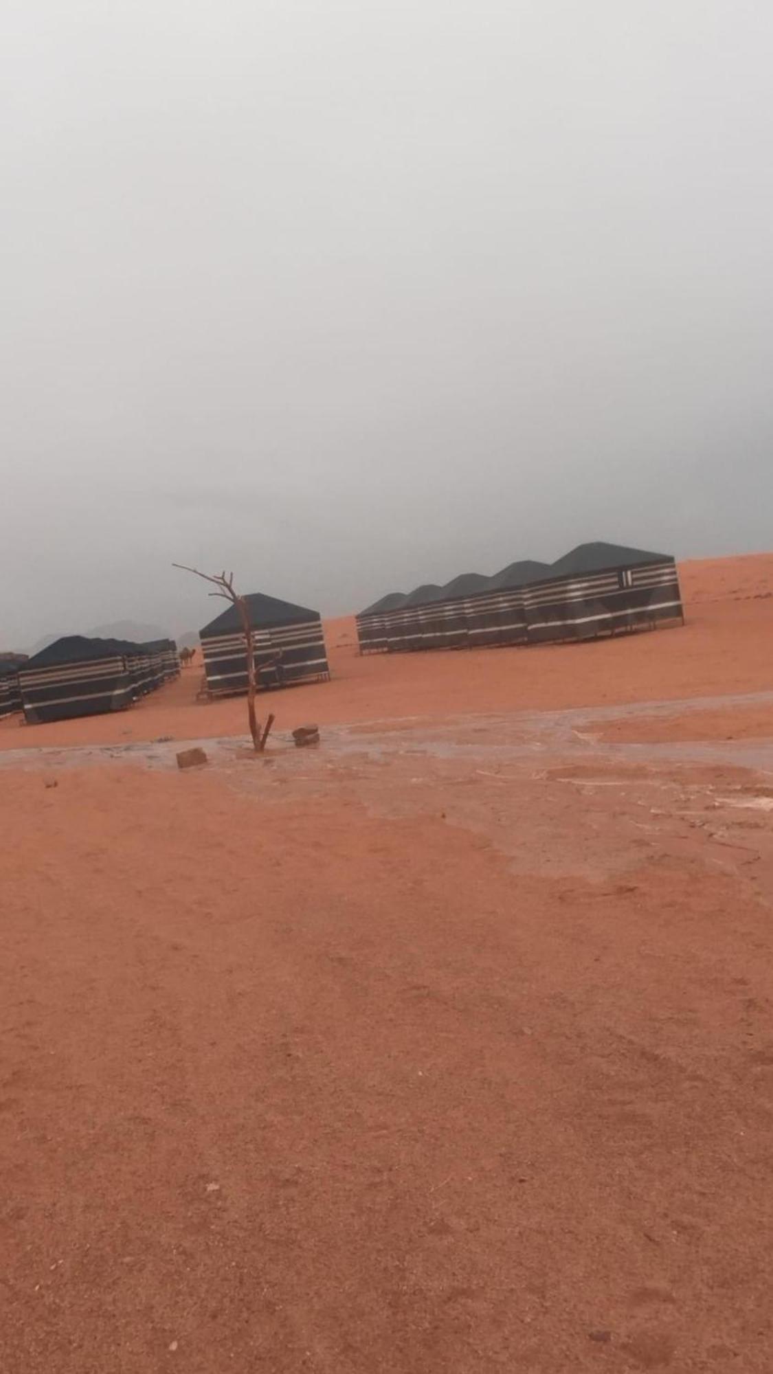 Bedouin Future Camp Hotell Wadi Rum Exteriör bild