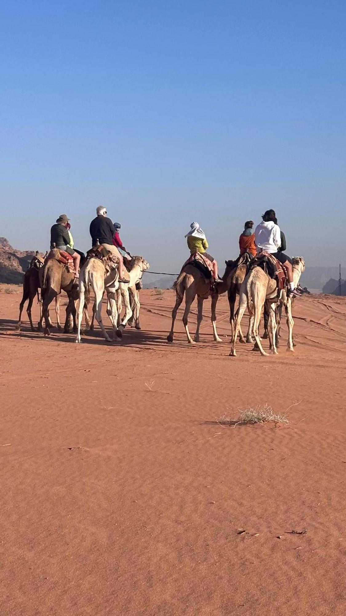 Bedouin Future Camp Hotell Wadi Rum Exteriör bild