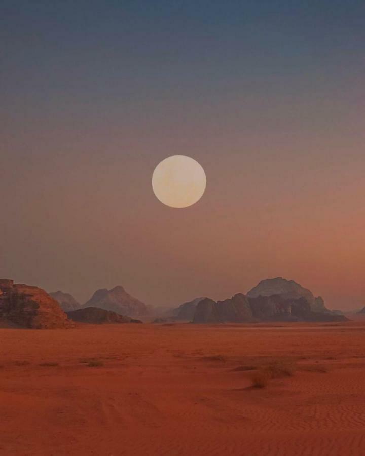Bedouin Future Camp Hotell Wadi Rum Exteriör bild